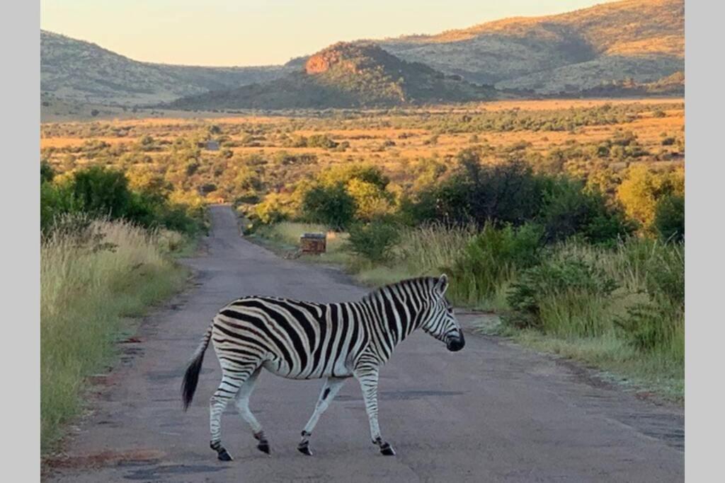 Rhino House With 3 Bedrooms Next To Pilanesberg And Sun City Mogwase Екстериор снимка