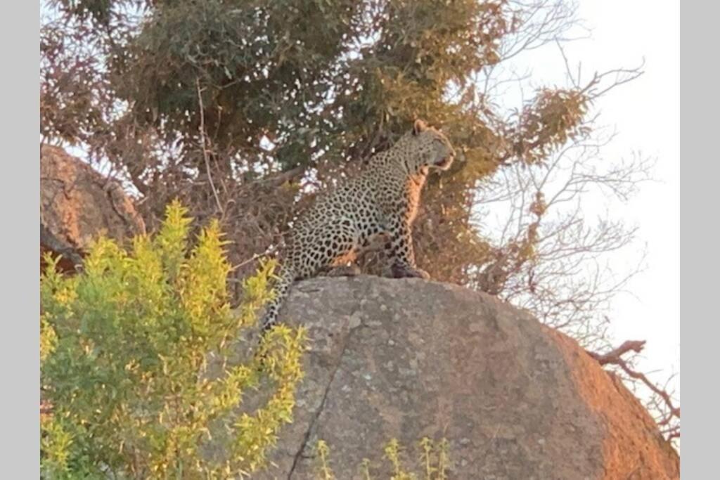 Rhino House With 3 Bedrooms Next To Pilanesberg And Sun City Mogwase Екстериор снимка