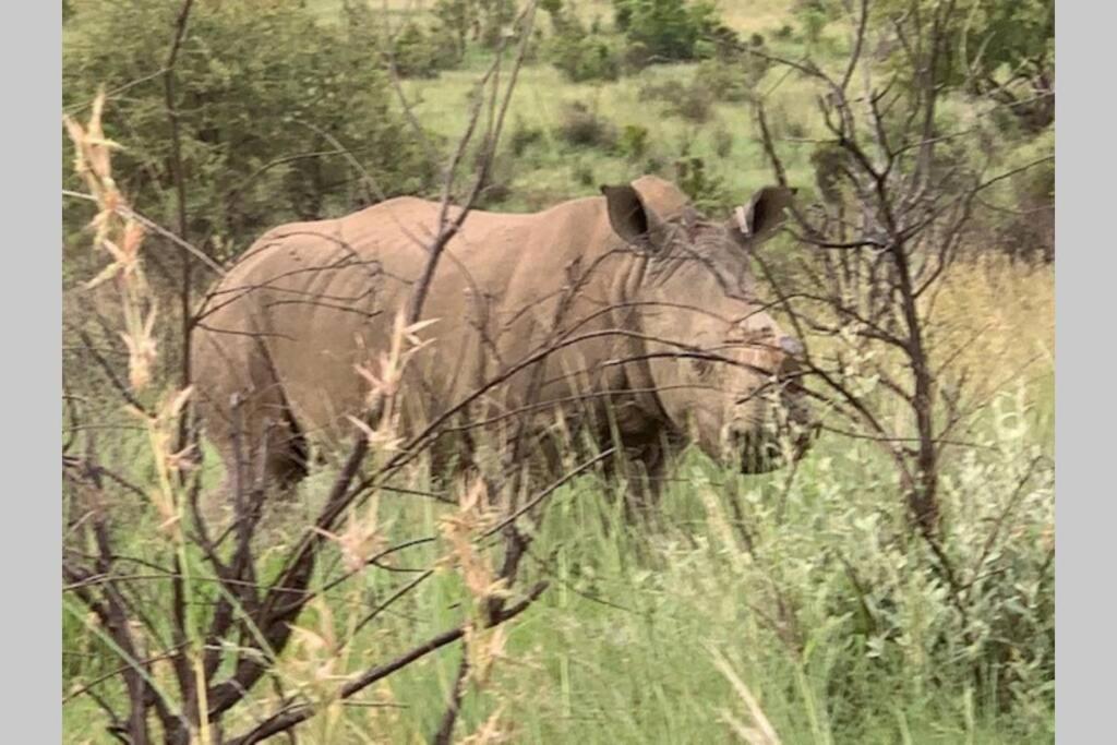 Rhino House With 3 Bedrooms Next To Pilanesberg And Sun City Mogwase Екстериор снимка